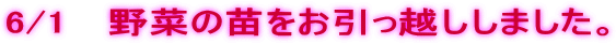 6/1 �@��؂̕c���������z�����܂����B