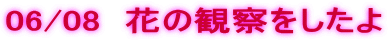 06/08  �Ԃ̊ώ@�������� 