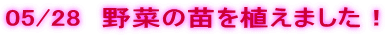 05/28�@��؂̕c��A���܂����I 