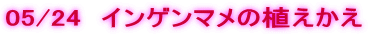 05/24�@�C���Q���}���̐A������ 